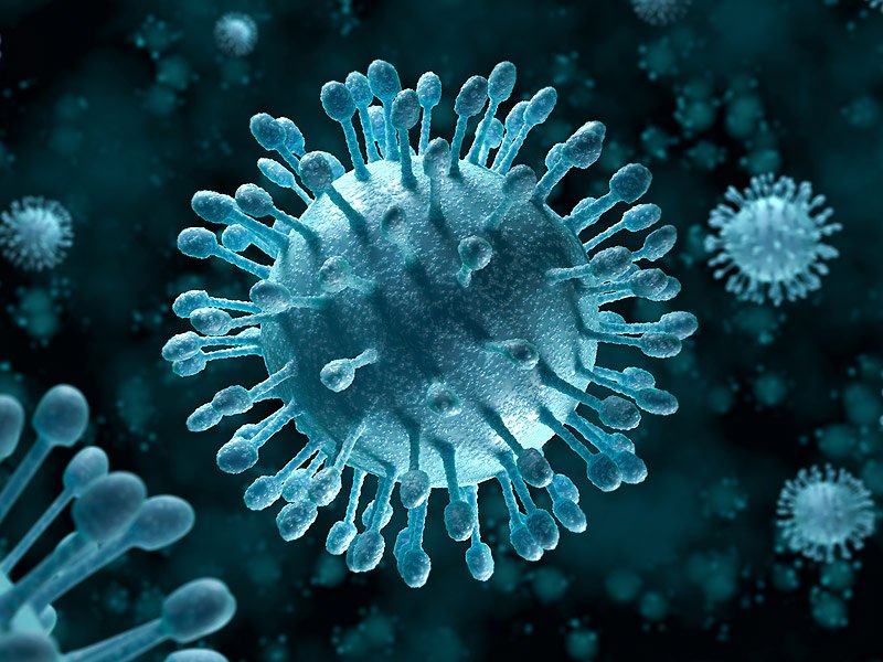 Обнаружен древнейший вирус гепатита