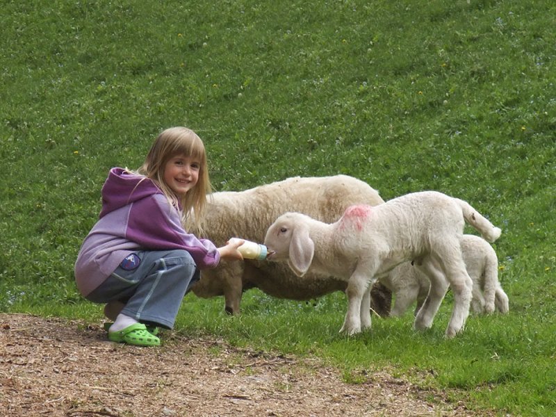 Воспитание ребенка в общении с животными гораздо полезнее