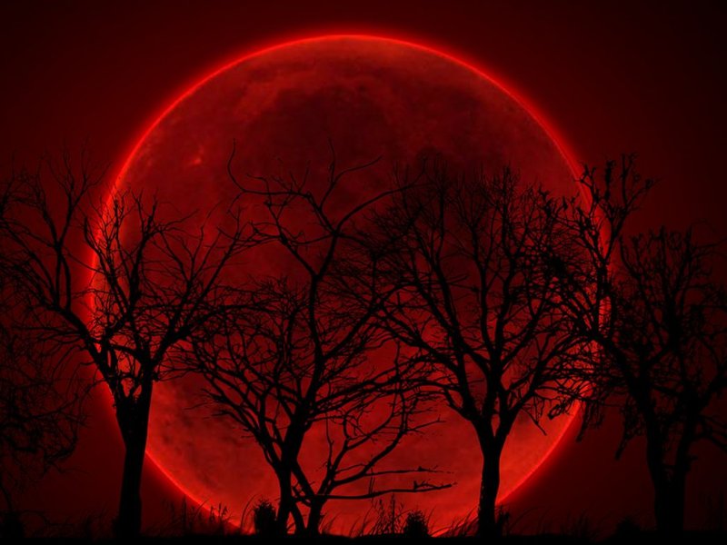 кровавая Луна