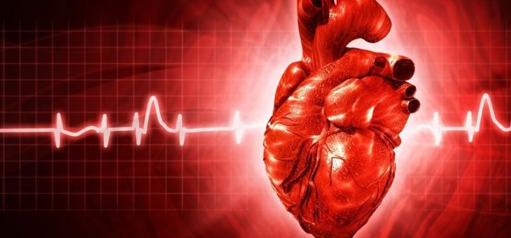 Все что вам нужно знать о болезнях сердца