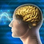 Почему резкие звуки так невыносимы для человеческого мозга?