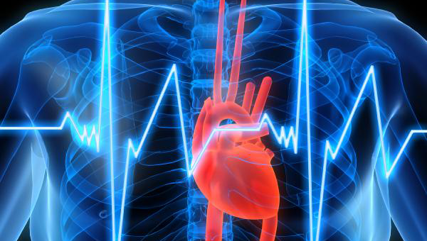Белок сердечного приступа может повысить риск ранней смерти