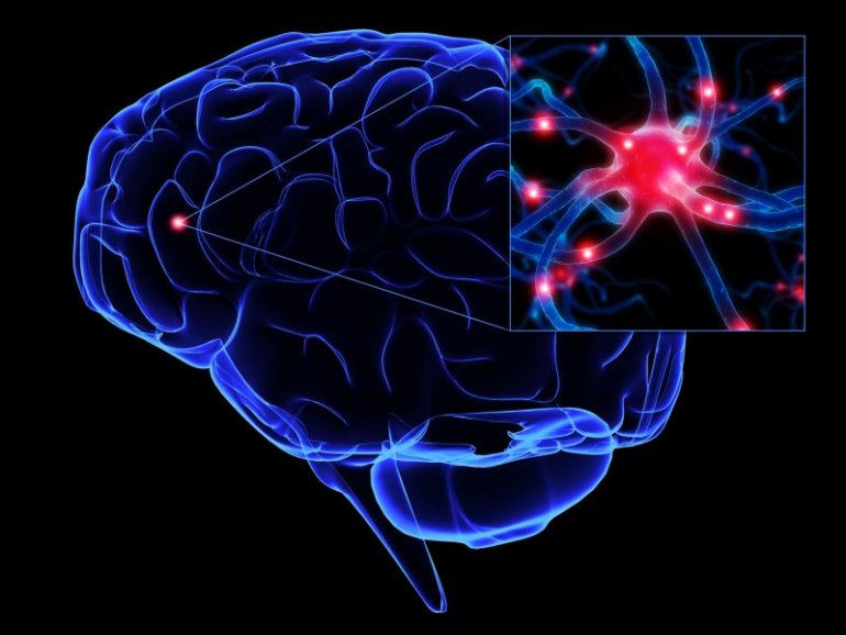 Разрушение транспорта в клетках мозга может привести к болезни Альцгеймера, Паркинсона