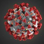 Заключение нового коронавируса может защитить от повторного заражения в будущем