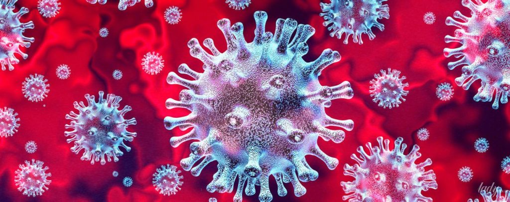 Что нужно знать о коронавирусах?