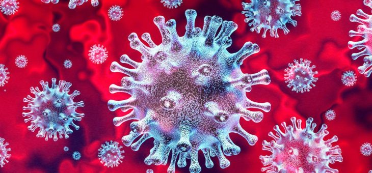 Что нужно знать о коронавирусах?