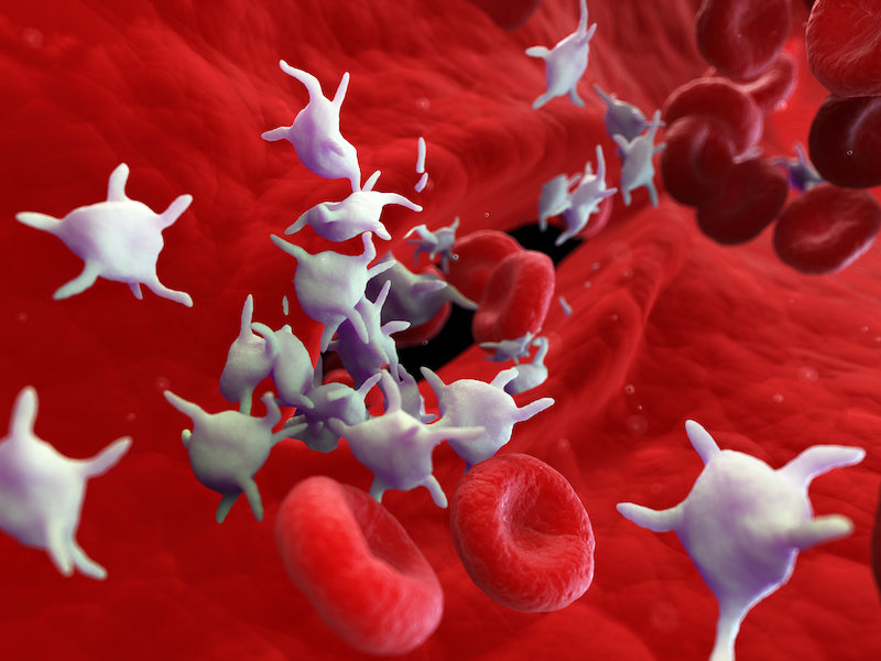 COVID-19 вызывает «гиперактивность» в клетках крови