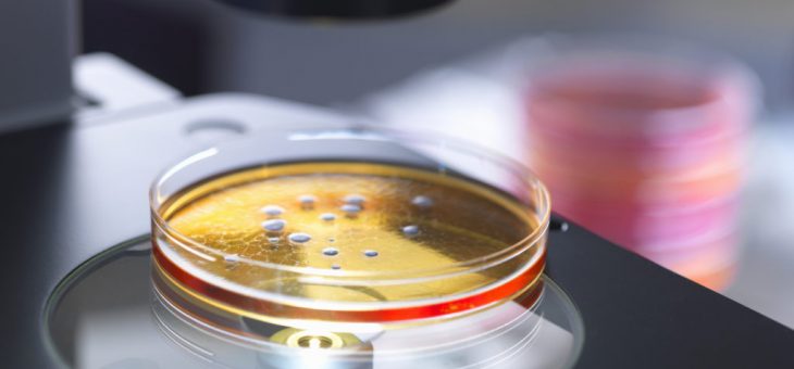 COVID-19: Могут ли быть вовлечены кишечные бактерии?